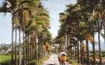關山自行車